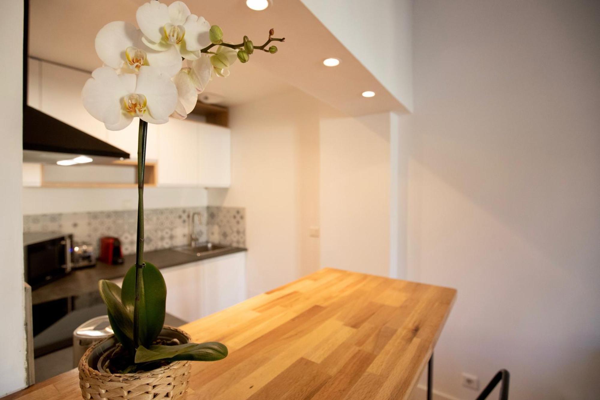 מונפלייה Home Chic Home - Les Toits De Sainte-Ursule מראה חיצוני תמונה
